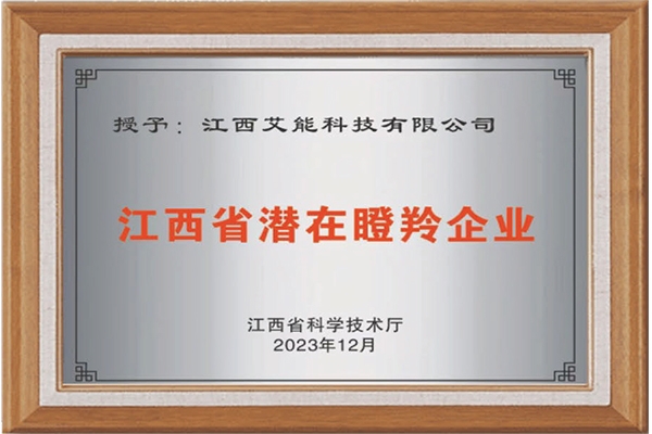 江西省潜在瞪羚企业